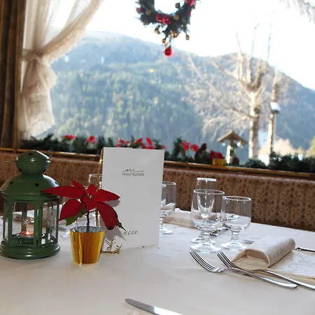Nigritella Hotel Selva di Cadore