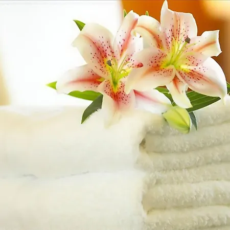 Hotel Nigritella 3*