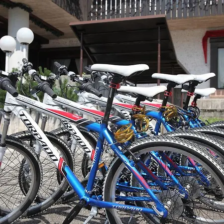 Nigritella Hotel Selva di Cadore