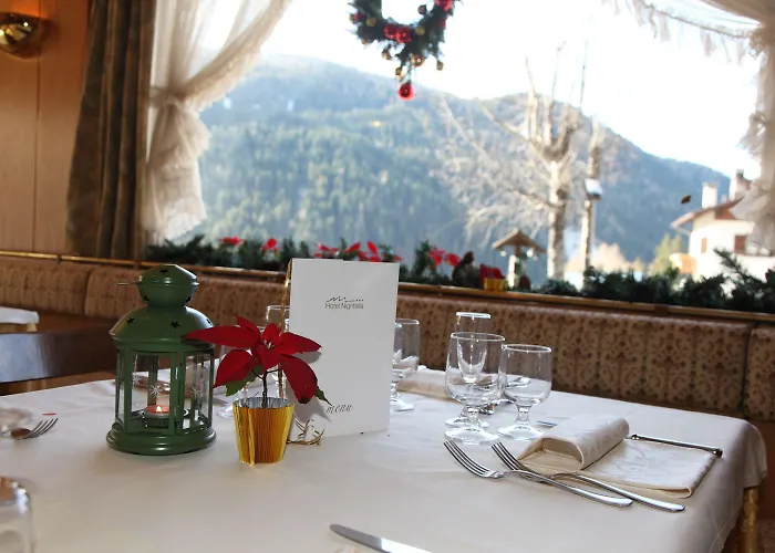 Nigritella Hotel Selva di Cadore