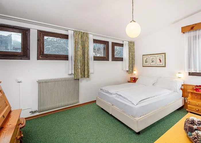 Nigritella 3* Selva di Cadore