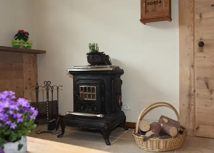 Nigritella Selva di Cadore