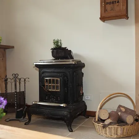 Nigritella Selva di Cadore