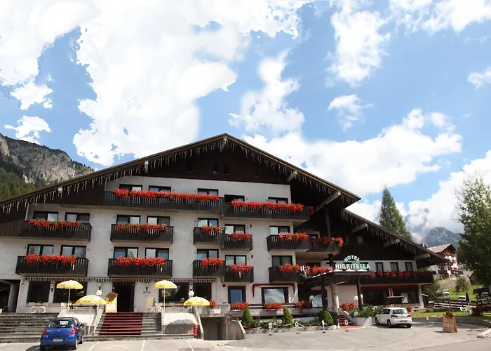 Nigritella Otel Selva di Cadore