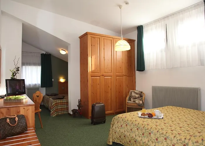 Nigritella Otel Selva di Cadore